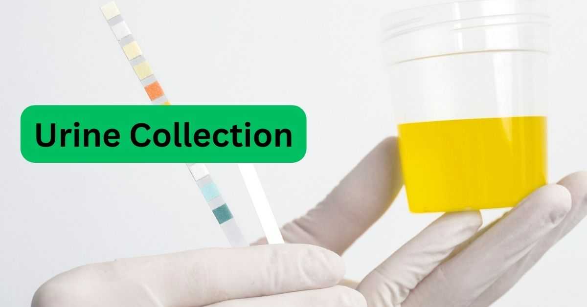 Urine Collection