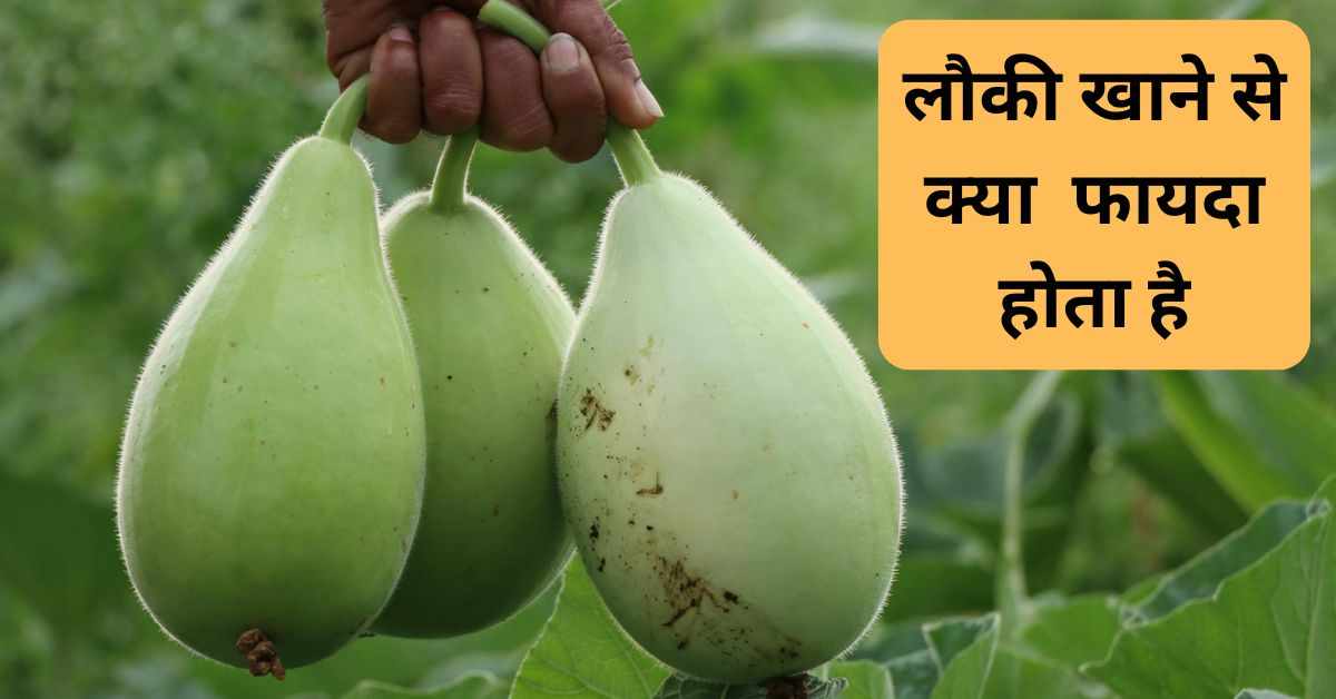 Health Benefits of Bottle Gourd