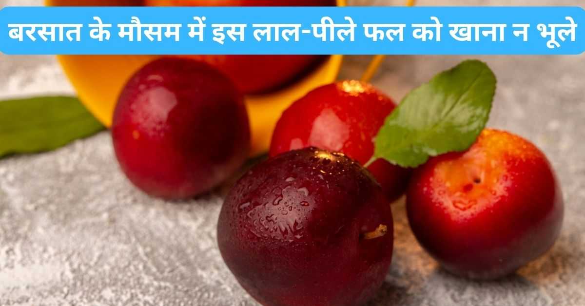 Plum Fruit Benefits in Hindi