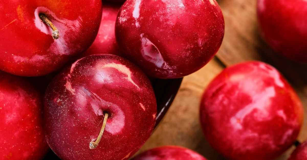 Plum Fruit Benefits in Hindi